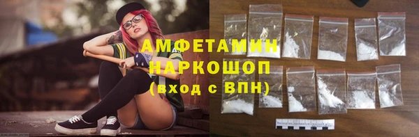 твердый Арсеньев