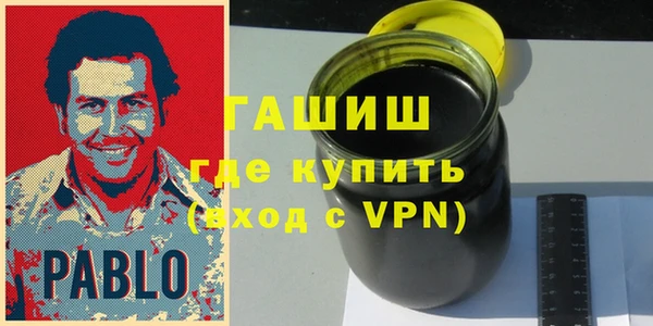 индика Туринск
