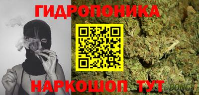 мдма Новодвинск
