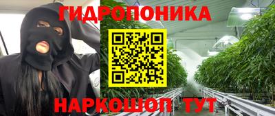 мдма Новодвинск
