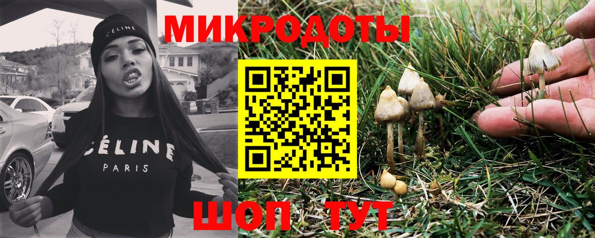 Ярцево  Псилоцибиновые грибы ЛСД  Вход с VPN  Галлюциногенные грибы Magic Shrooms 